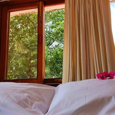 Ixlum Hoteles Y Casas Vacacionales Tepoztlan Ngoại thất bức ảnh