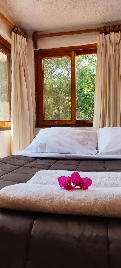 Ixlum Hoteles Y Casas Vacacionales Tepoztlan Ngoại thất bức ảnh